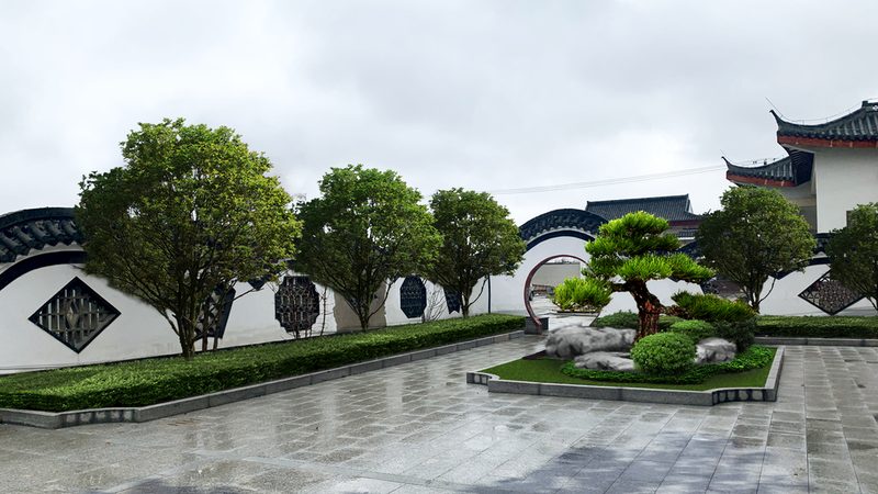 庭院苗木种植，如何确保成活率