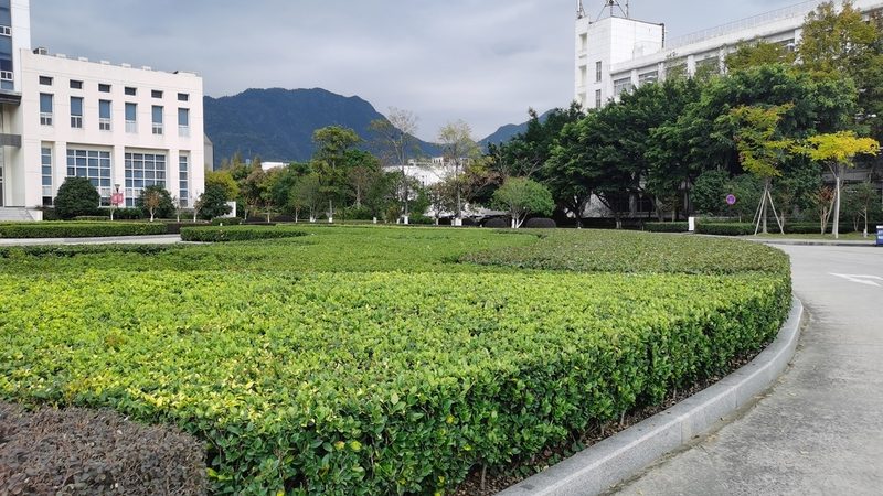 苏州园林绿化工程招标公告背后的考量因素**