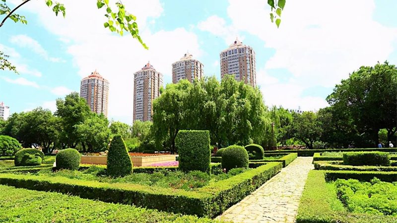 成都苗木种植技术：视频教程详解**